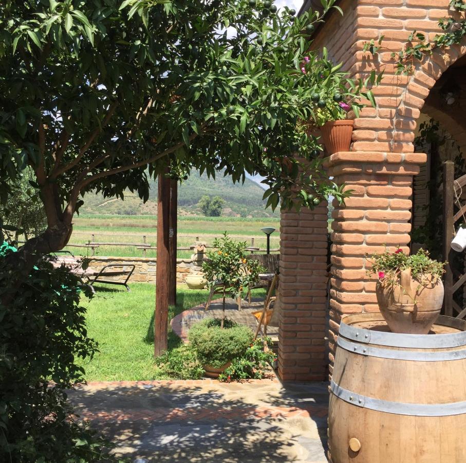 B&B La Nonnina del Cilento - B&B