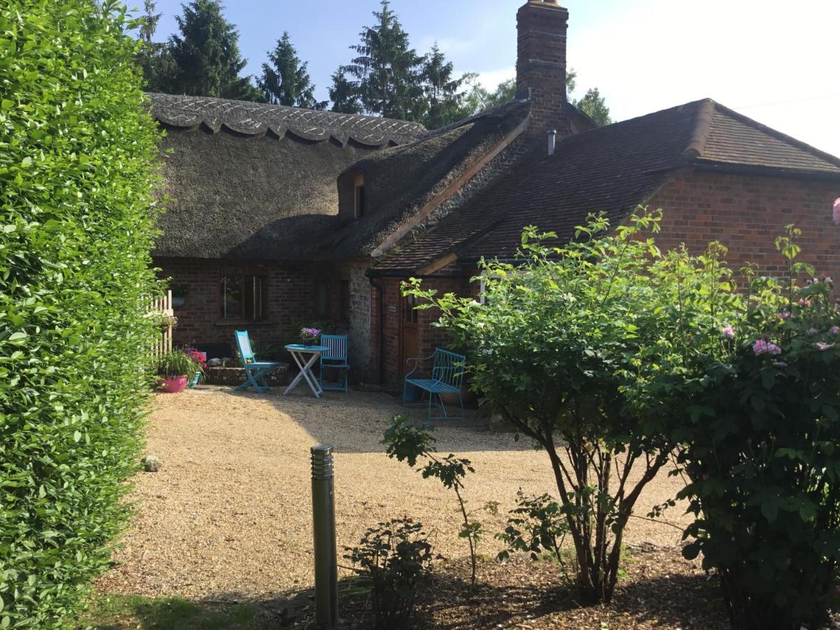 B&B Pulborough - Thatched Cottage - Bed and Breakfast Pulborough