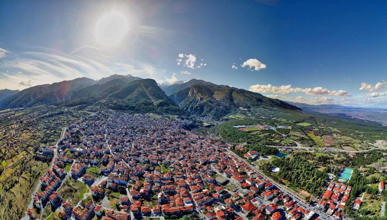 Two-Bedroom Apartment with Terrace