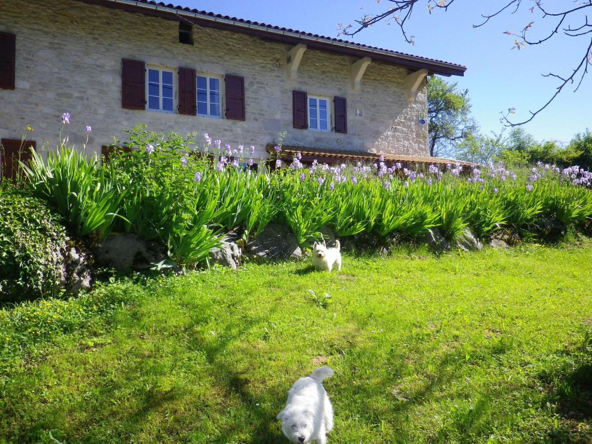 Chambre d'hôtes La Haie Fleurie - Bed and Breakfast