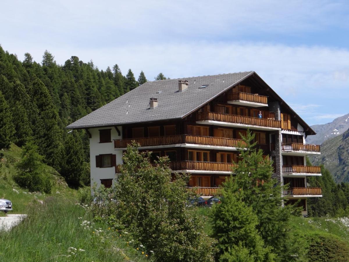 Marmottes F43 - B&B