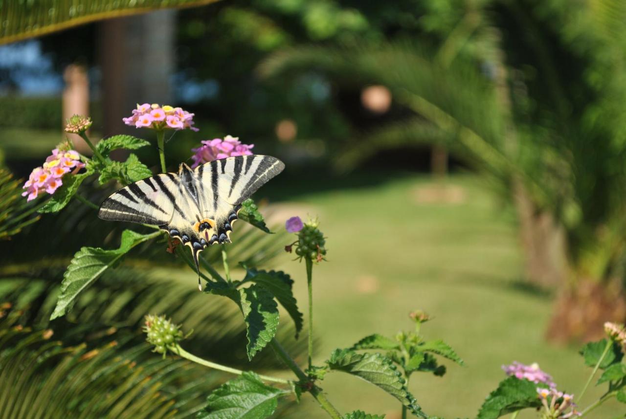 Iliovasilema Hotel - B&B