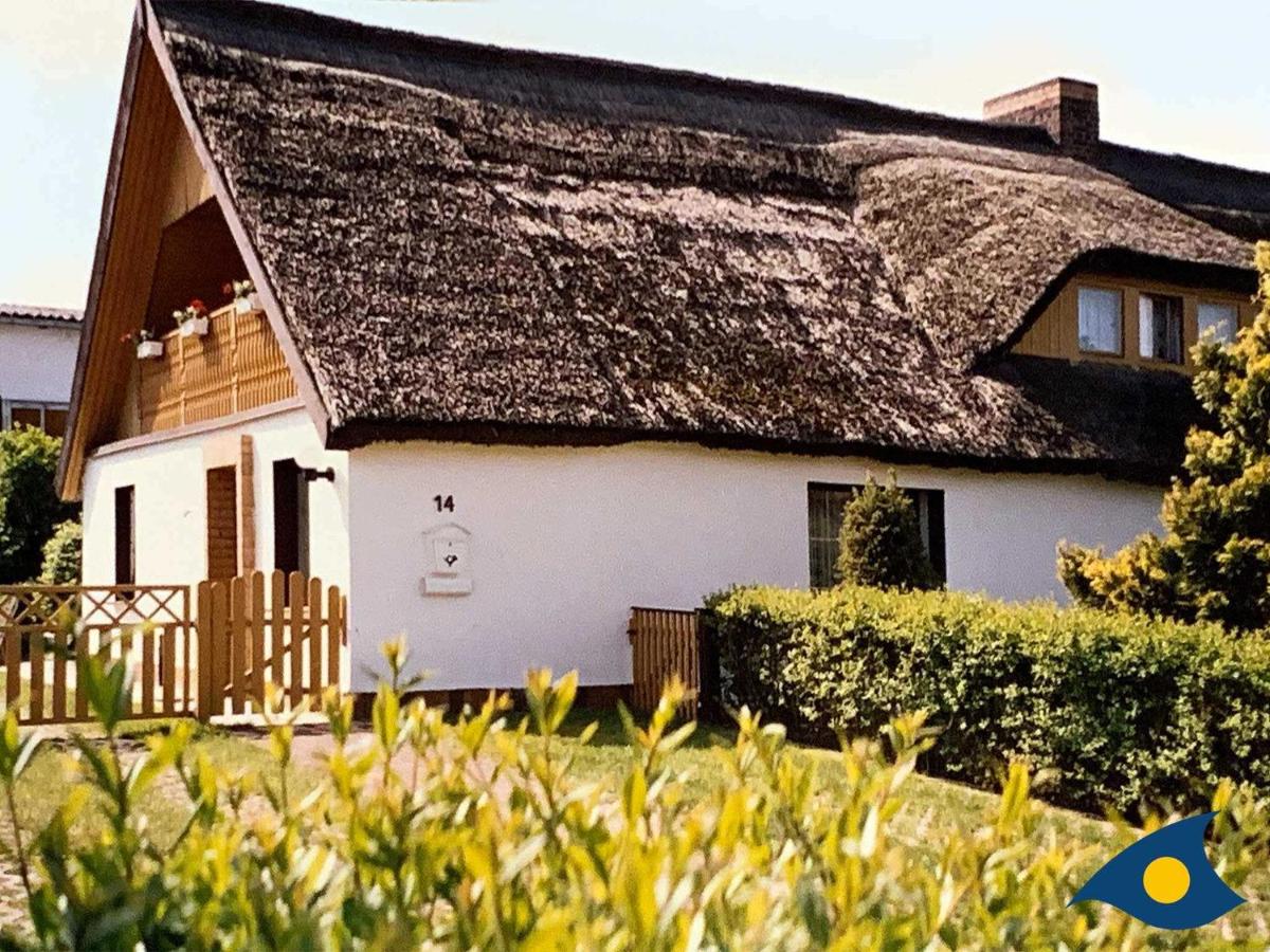 Haus Ueckeritz Parterrewohnung - B&B