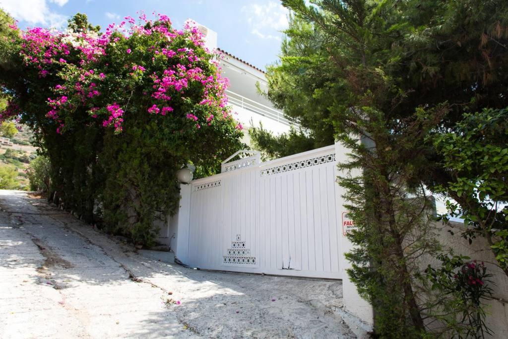 Beautiful, Private Villa by the Sea - B&B