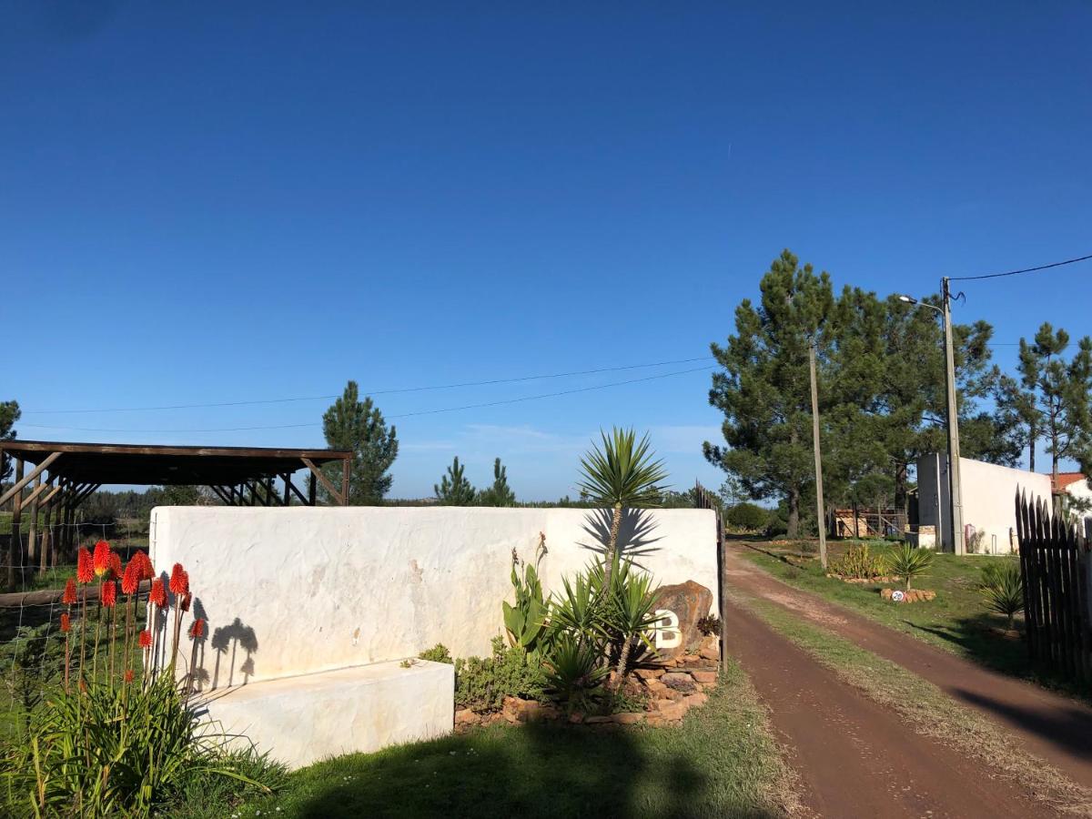 Quinta das Beldroegas - Casas de Campo - B&B São Teotónio
