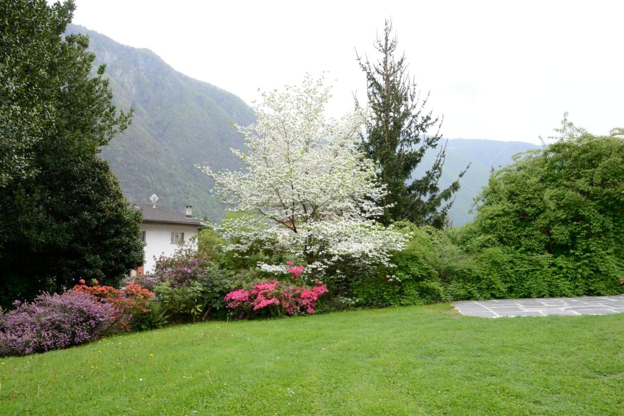 Chambre Double avec Terrasse et Salle de Bains Commune