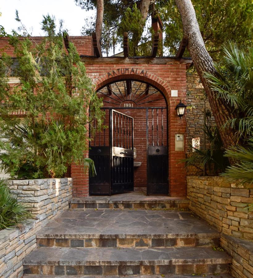 Villa Antumalal B&B - B&B