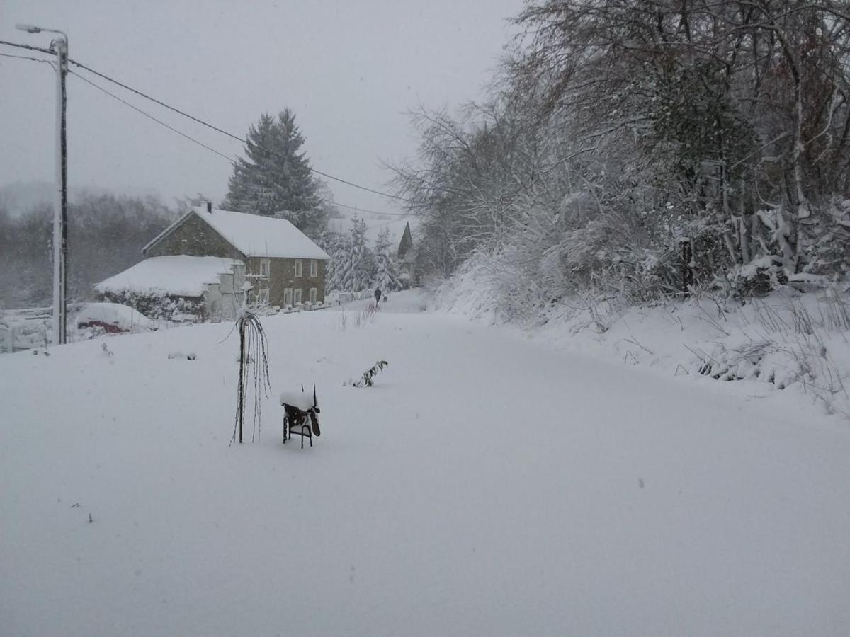 Standaard Tweepersoonskamer met Gedeelde Badkamer