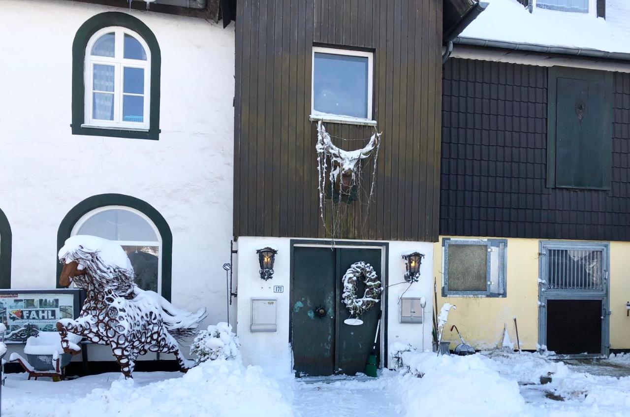 Hof Vierzehnender im Hohen Venn - 70qm Fachwerk-Studio - grosses Wohn-Schlafzimmer mit Dachterrasse und Kaminofen - separate Küche - perfekt für Paare - Monschau - Eifel - Hunde willkommen - Islandpferde - B&B