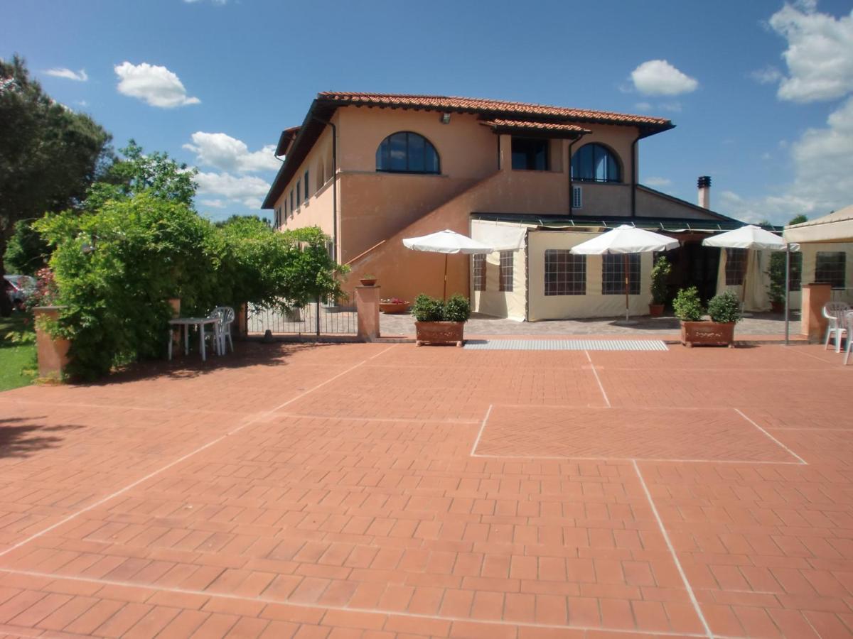 Apartments in Cerreto Guidi/Toskana 23873 - Ferienwohnung