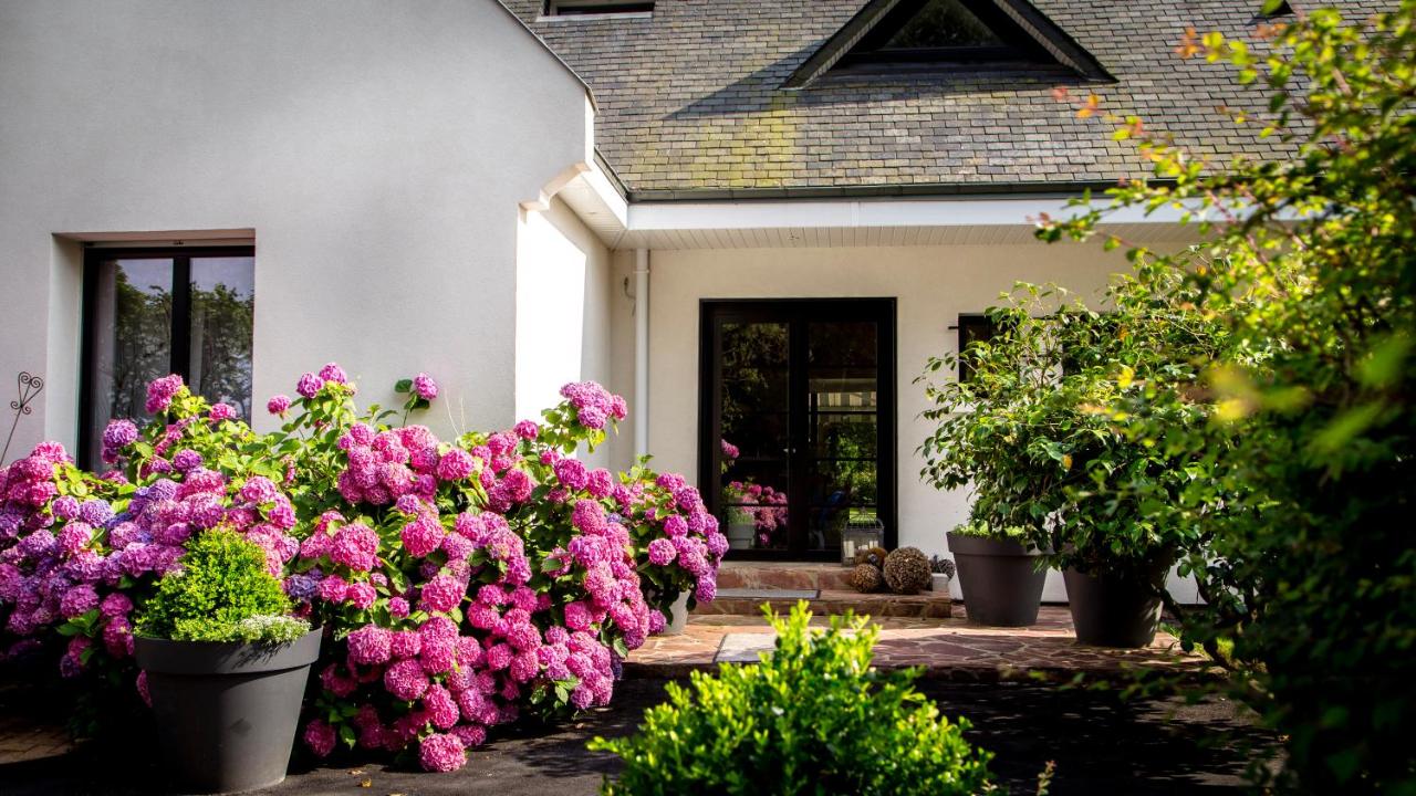 Familiekamer met Gedeelde Badkamer