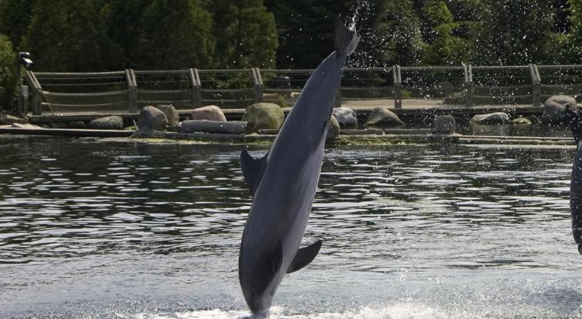 Boothuis Harderwijk - Chambres d’hôtes Harderwijk