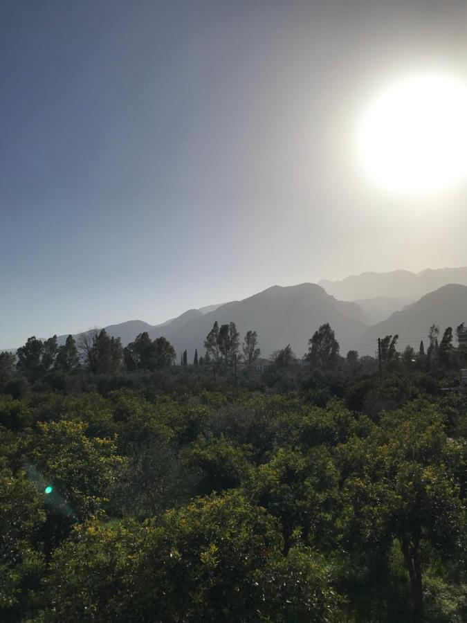 Taygetos - B&B Esparta