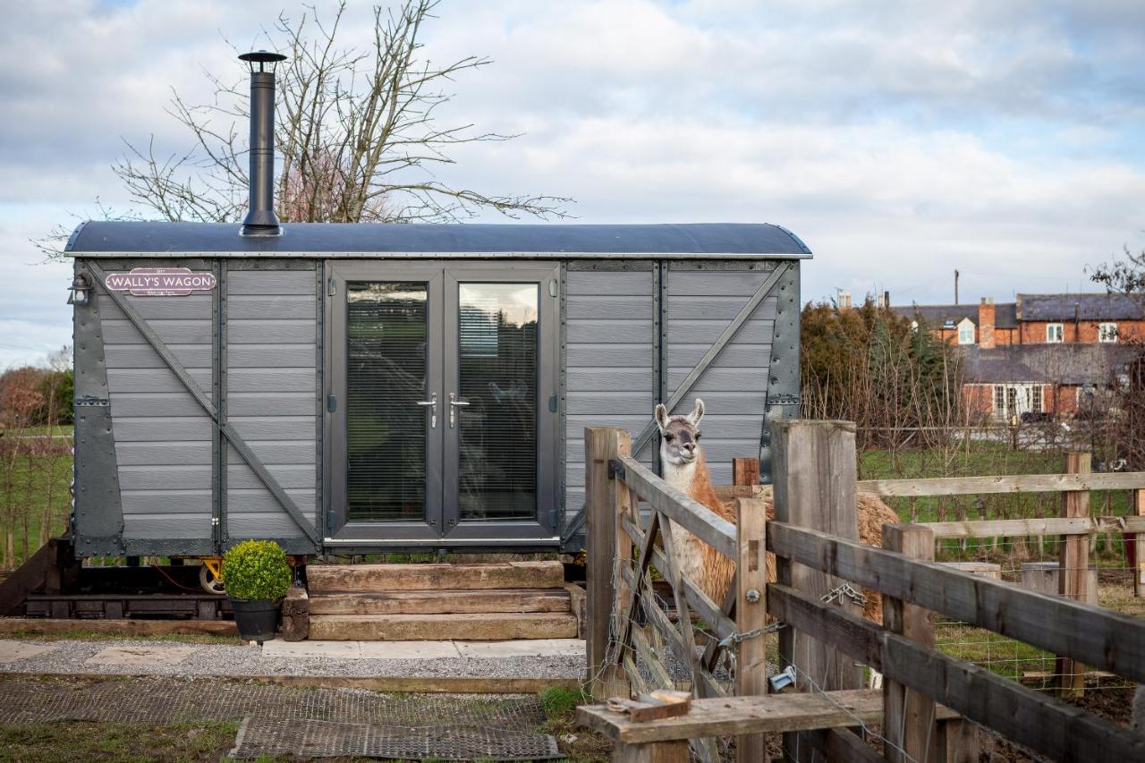 Skipbridge Farm Glamping - Bed and Breakfast