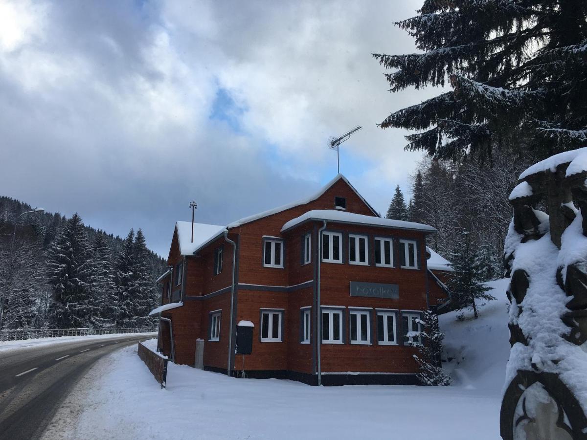 Apartmánový dům HORALKA - B&B Pec pod Sněžkou