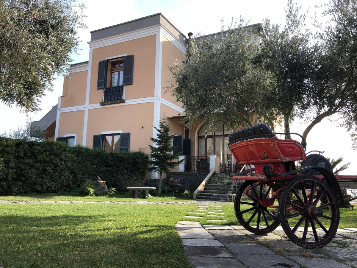 Domus Agricolae Corallina - Bed and Breakfast Torre del Greco