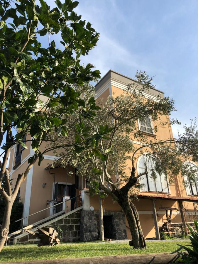 B&B Torre del Greco - Domus Agricolae Corallina - Bed and Breakfast Torre del Greco