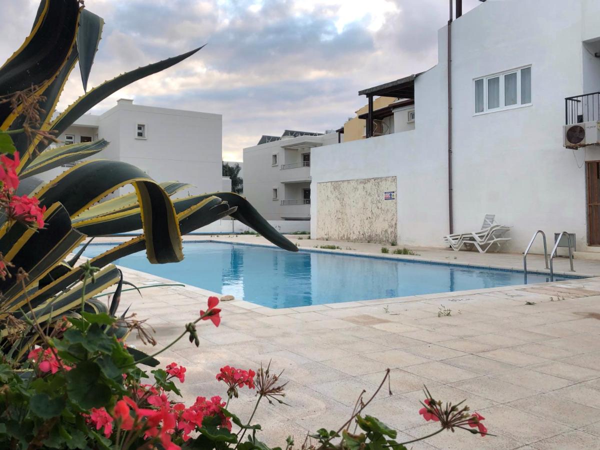 Ayia Napa GO SEA Sunny Apt with Terrace 5 min to Beach - Chambres d'hôtes Ayia Napa
