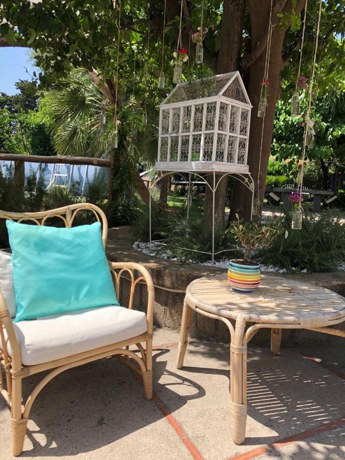Double Room with Patio