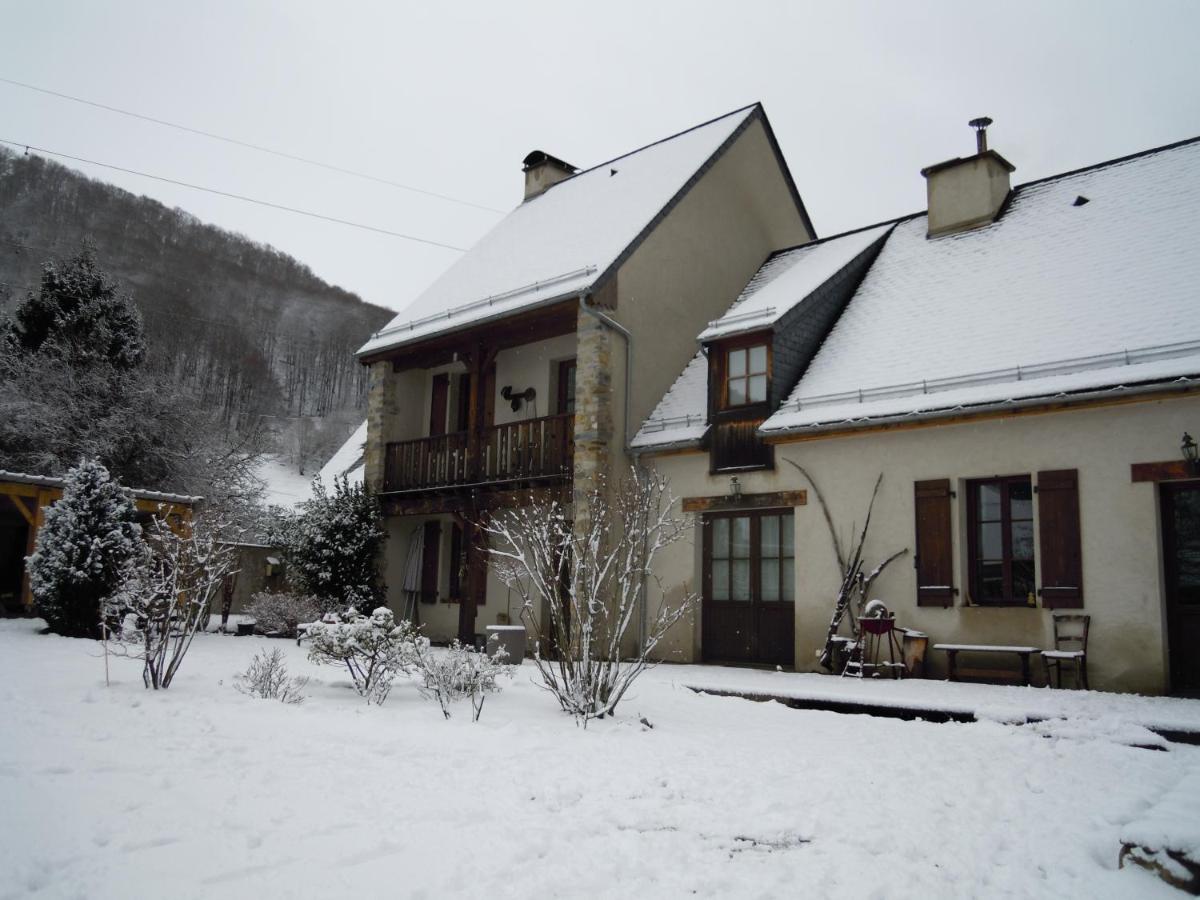 La Grande Ourse - B&B