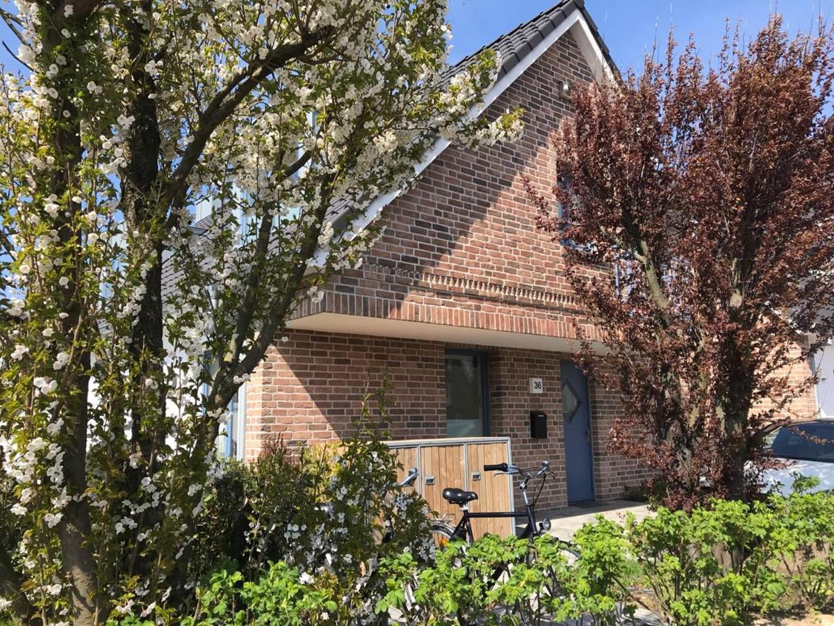 Traumhaus - Ferienwohnung