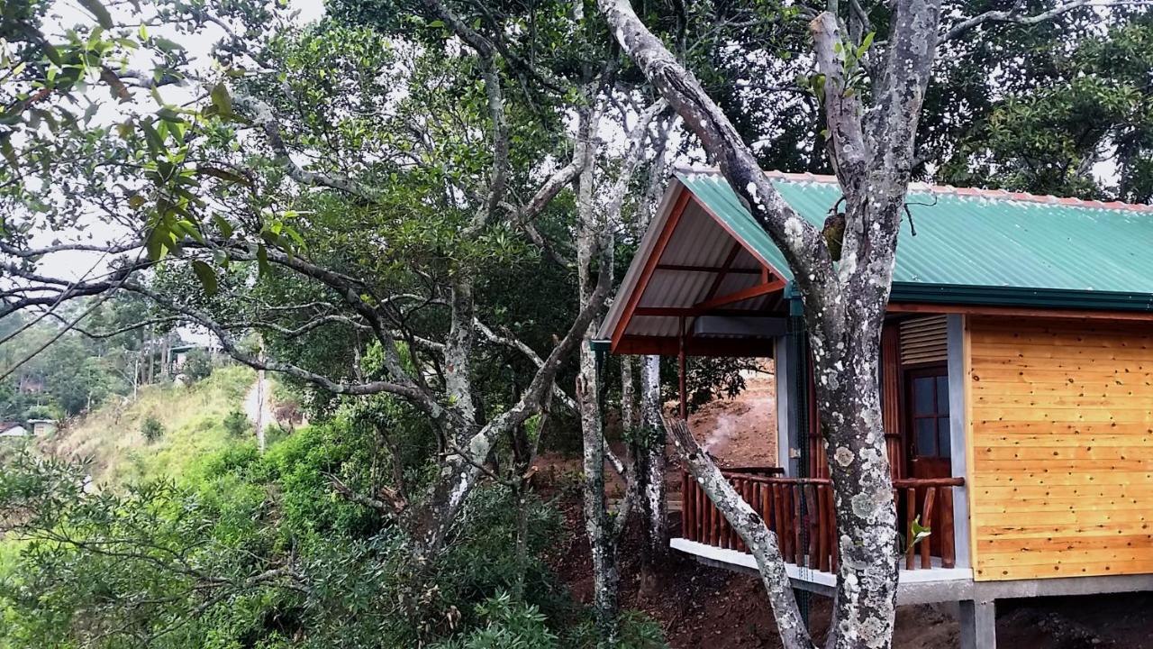 Saffron Eco Cottage - B&B Ella Town