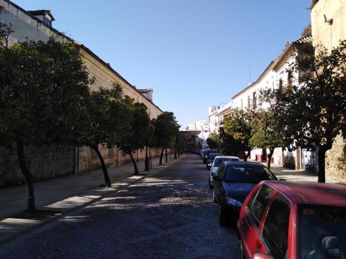 Casas Caballerizas Mezquita 1 y 3 HAB - Chambres d'hôtes Cordoue