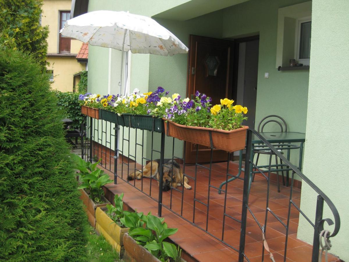 Pokoje DAJAN - B&B