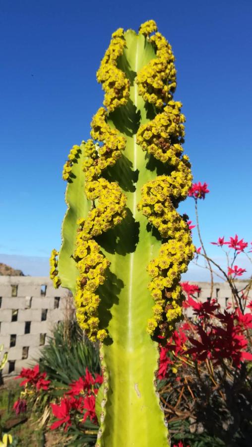 Appartamento con Vista Mare