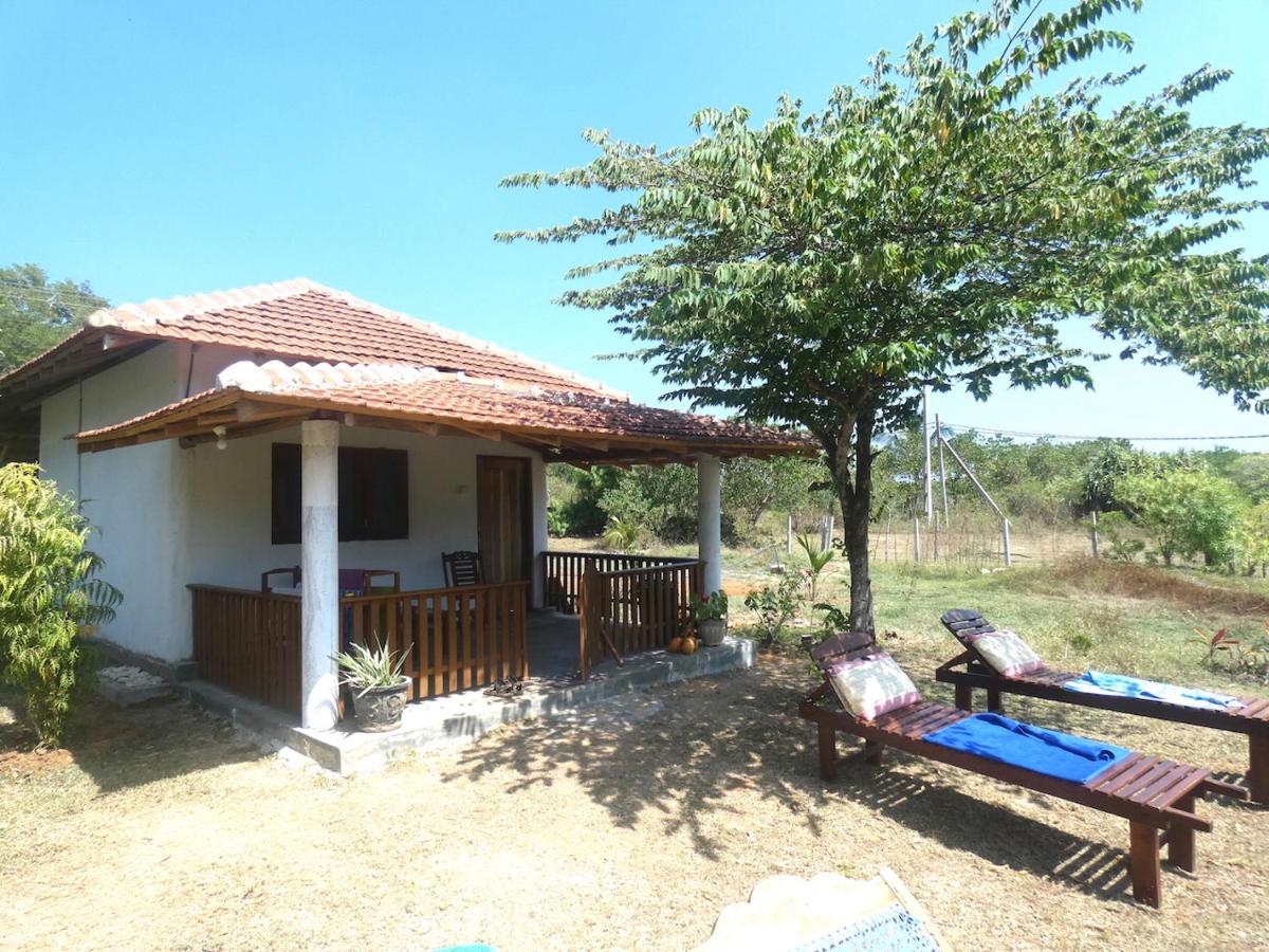 Habitación con cama grande y vistas al jardín