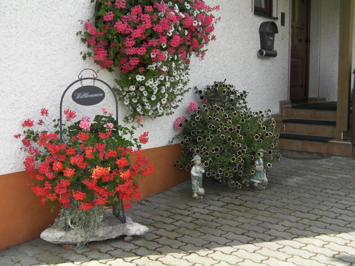 Haus Sonnenschein - Bed and Breakfast Gößweinstein