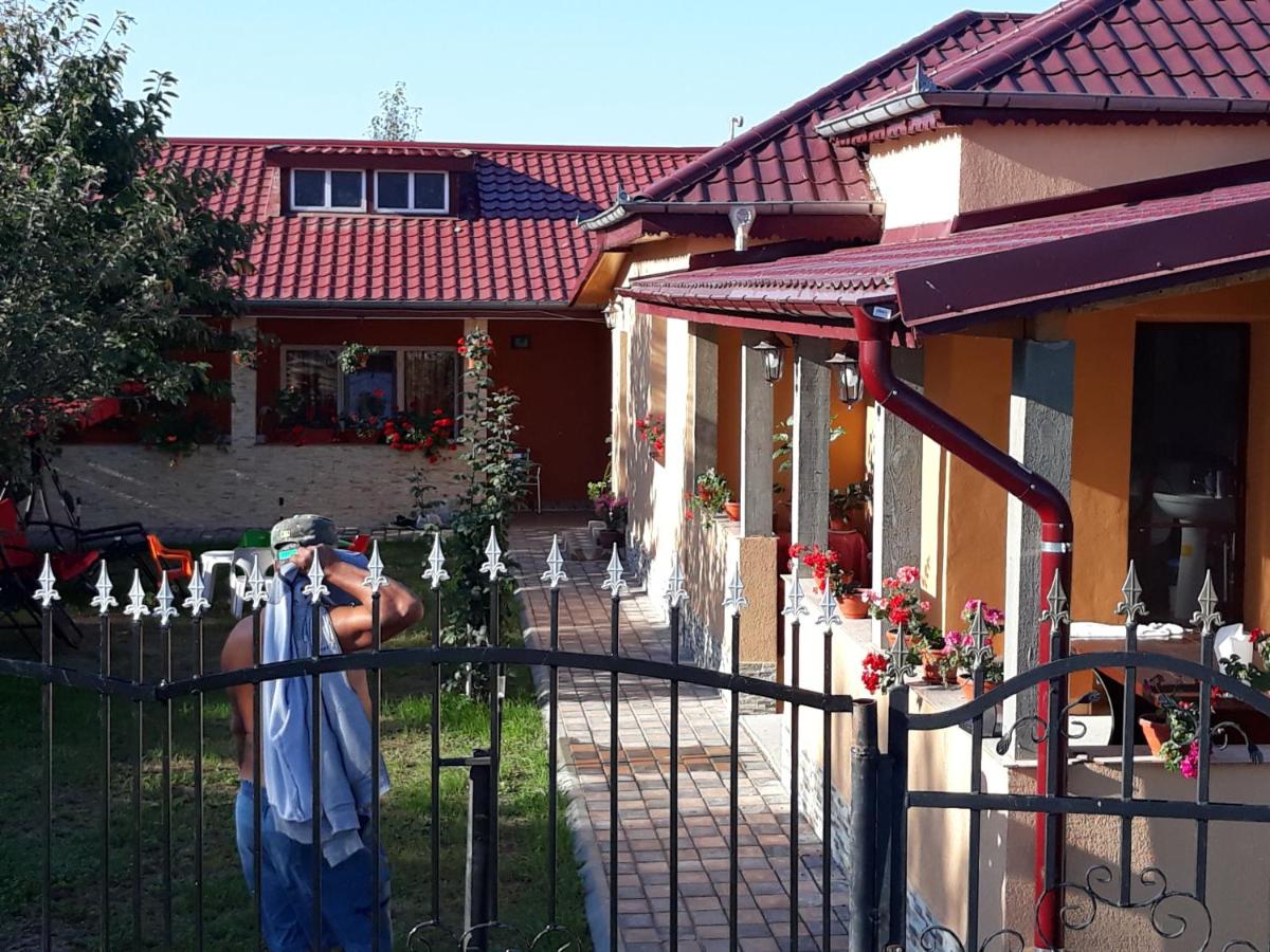 B&B Tulcea - Casa Maioru - Bed and Breakfast Tulcea