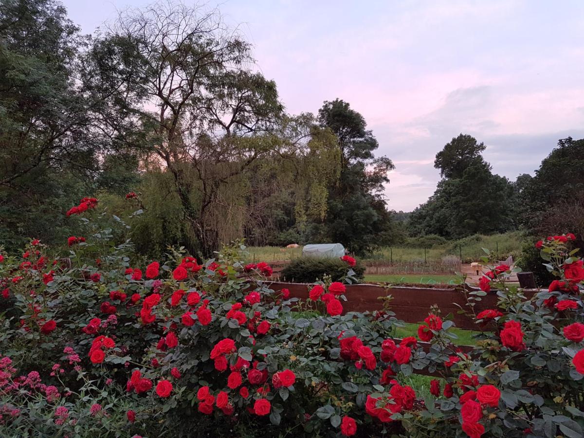 Double Room with Garden View