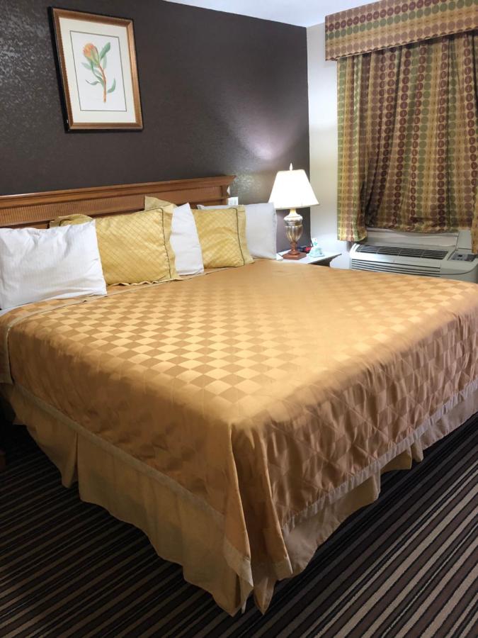 Habitación con cama extragrande - Fumadores 