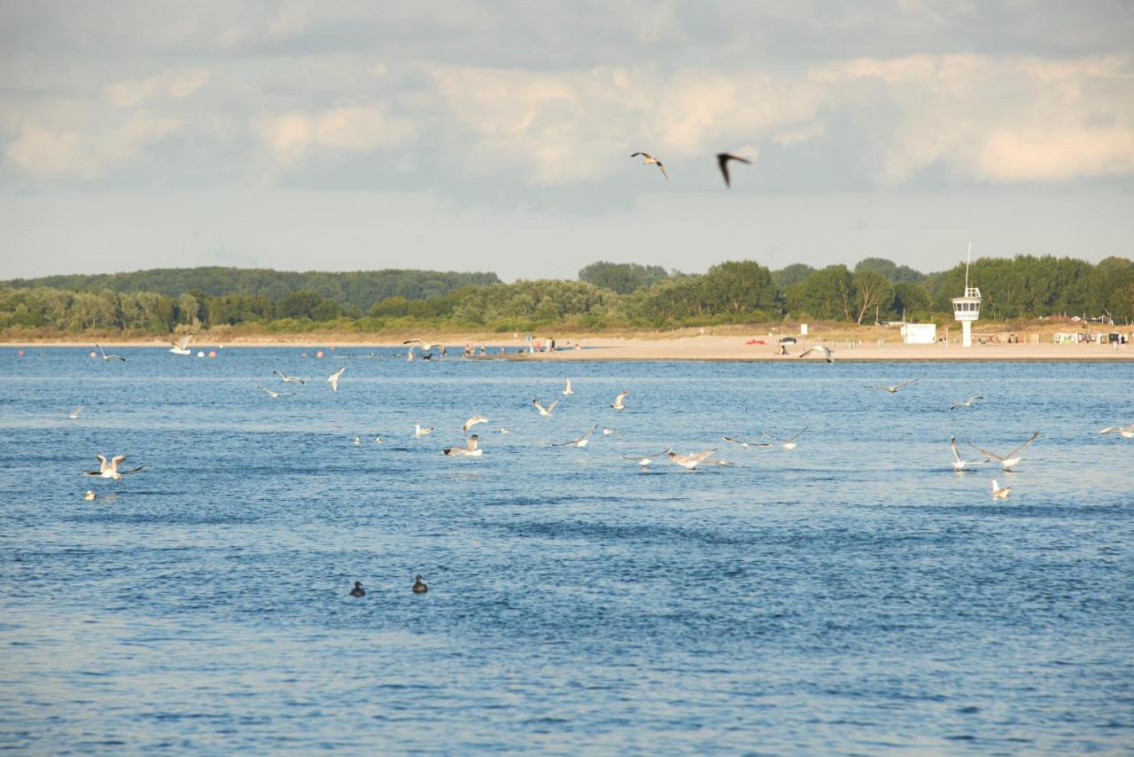 Ferienwohnung Bootsteg Moba-Travel - Ferienwohnung Priwall