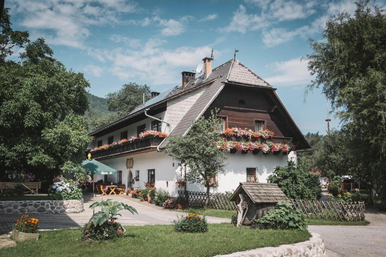 Urlaub am Bauernhof Feldbauer - Ferienwohnung Landl
