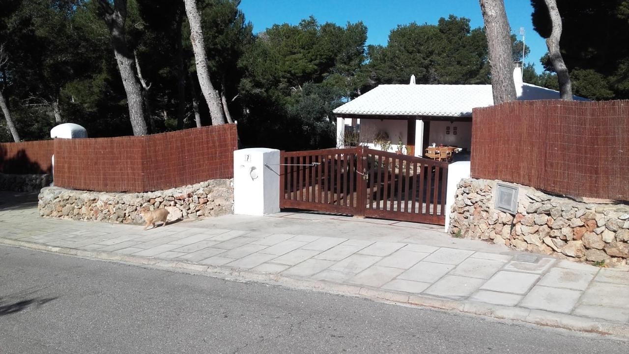 Villa Moll - B&B