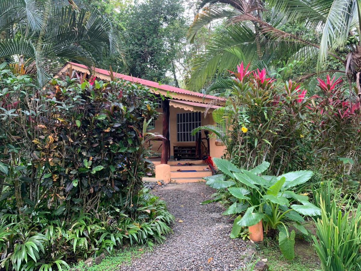 Luna Caribeña Village - B&B