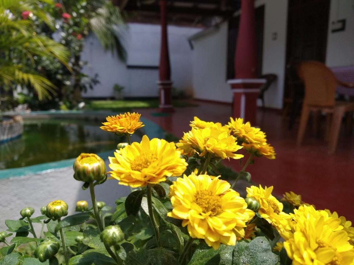 B&B Weligama - Easy Stay Lodge - Bed and Breakfast Weligama