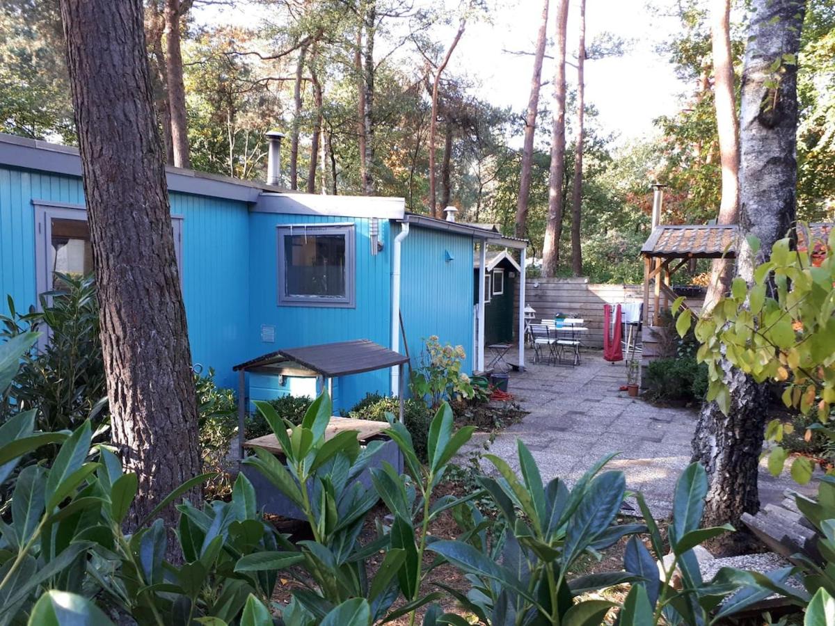 B&B Hoenderloo - Boshuis Turquoise / smaakvol genieten op de Veluwe - Bed and Breakfast Hoenderloo