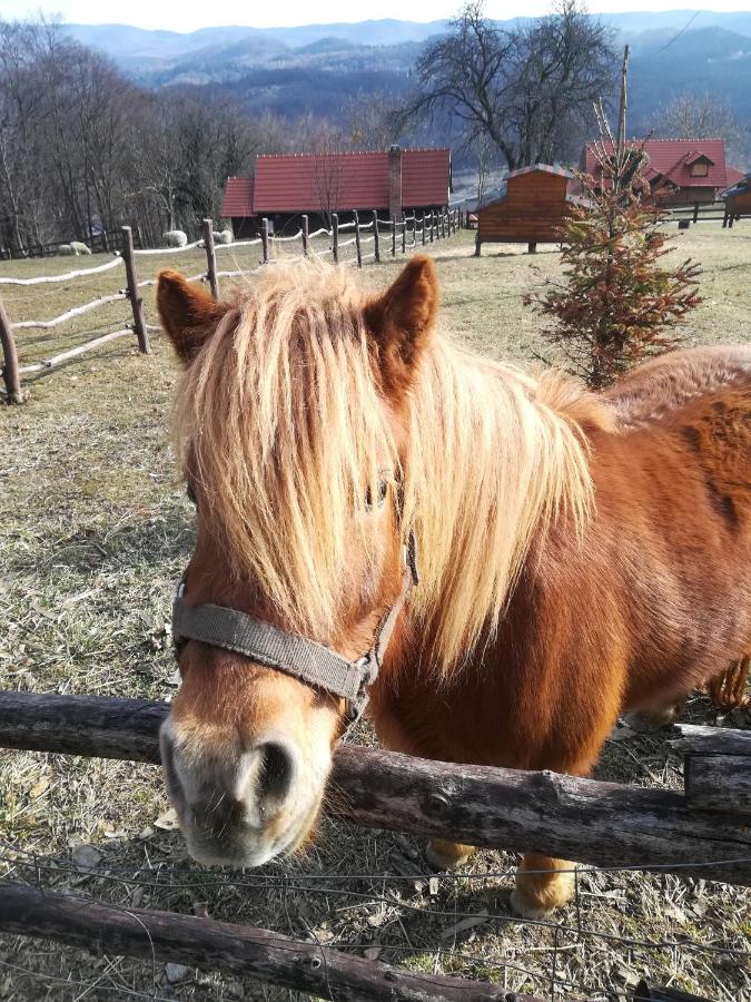 Chalet con 1 Camera da Letto