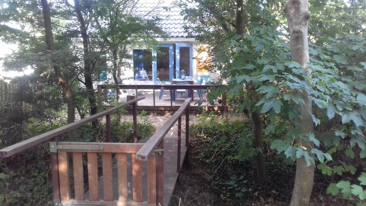 Boshuisje Petten aan Zee - Bed and Breakfast