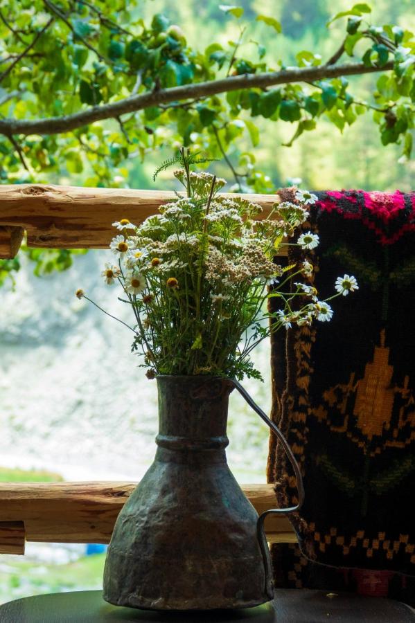 Pirikiti - B&B