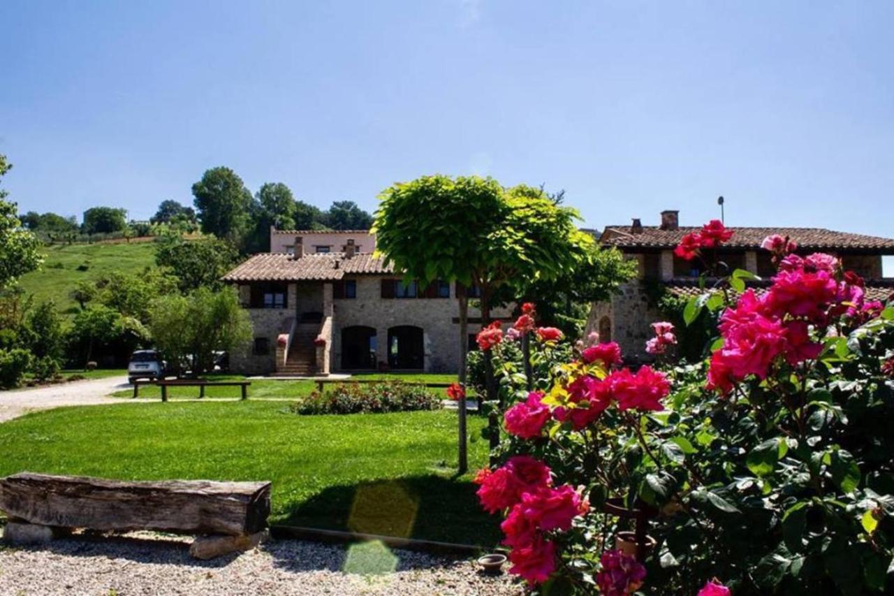 Agriturismo Poggio del Bolognino - Ferienwohnung