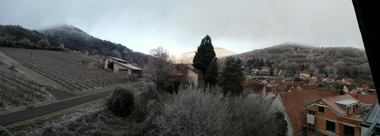 Ferienwohnung "Weinbergblick" im Winzerdorf - Chambres d’hôtes