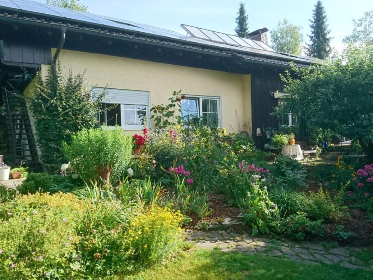 B&B Rinchnach - Landhaus Bernecker, Bay.W. - Bed and Breakfast Rinchnach