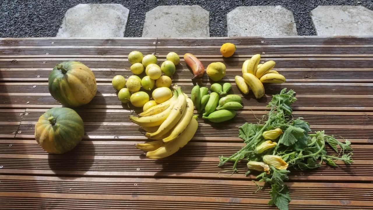 Les Gîtes du Bonheur/Kite Surf - Ferienwohnung Le Moule