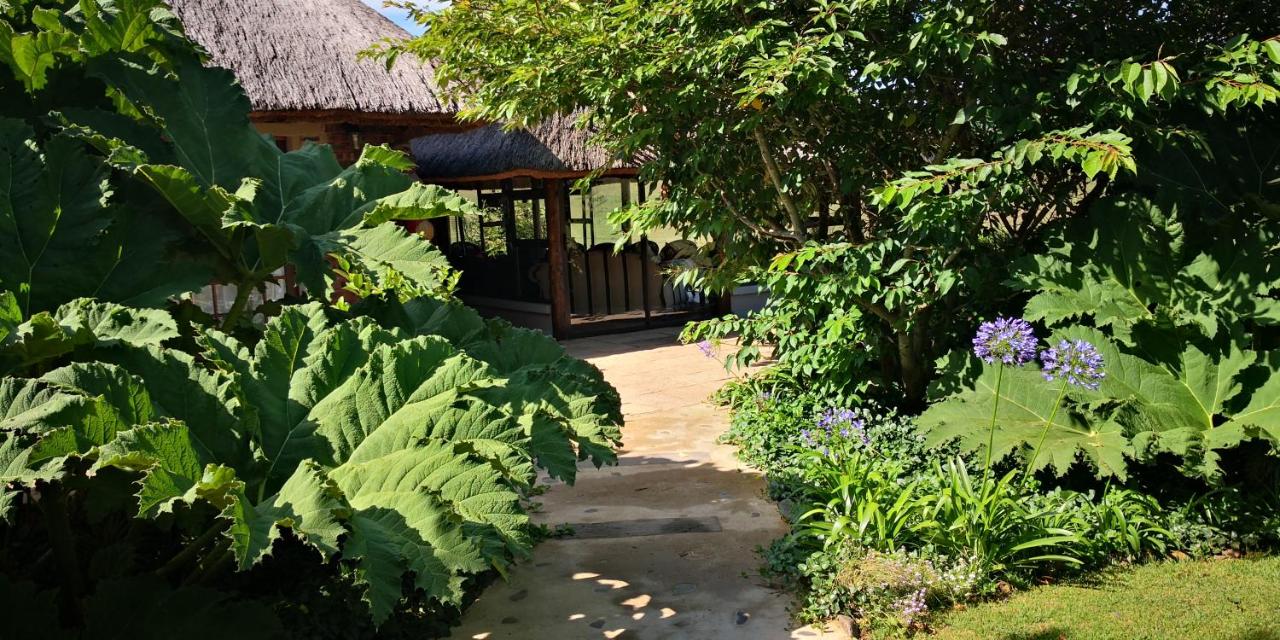 Habitación Doble Deluxe - 1 o 2 camas