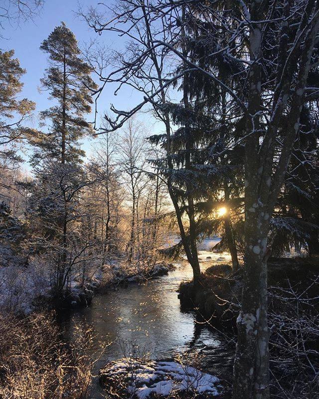 Chambre Lits Jumeaux avec Salle de Bains Commune