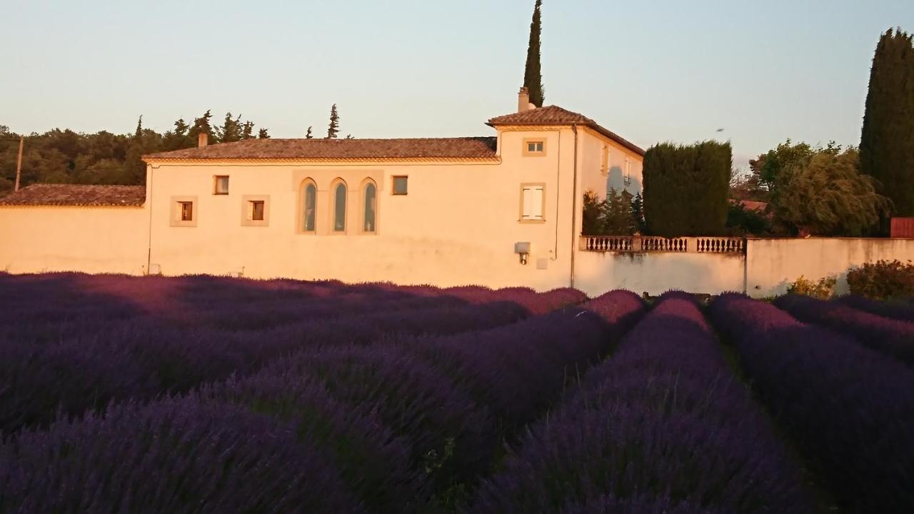 Le Mas Des Sorcières - Maison d'hôtes - B&B